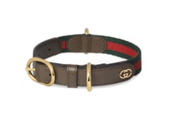 Gucci cat collar ebay best sale