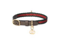 Authentic gucci dog collar hotsell