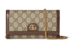 Ophidia wallet on chain in Beige GG Canvas | GUCCI® SI