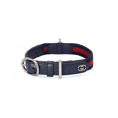 Cat gucci collar hot sale