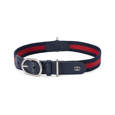 Gucci 2025 pet collar