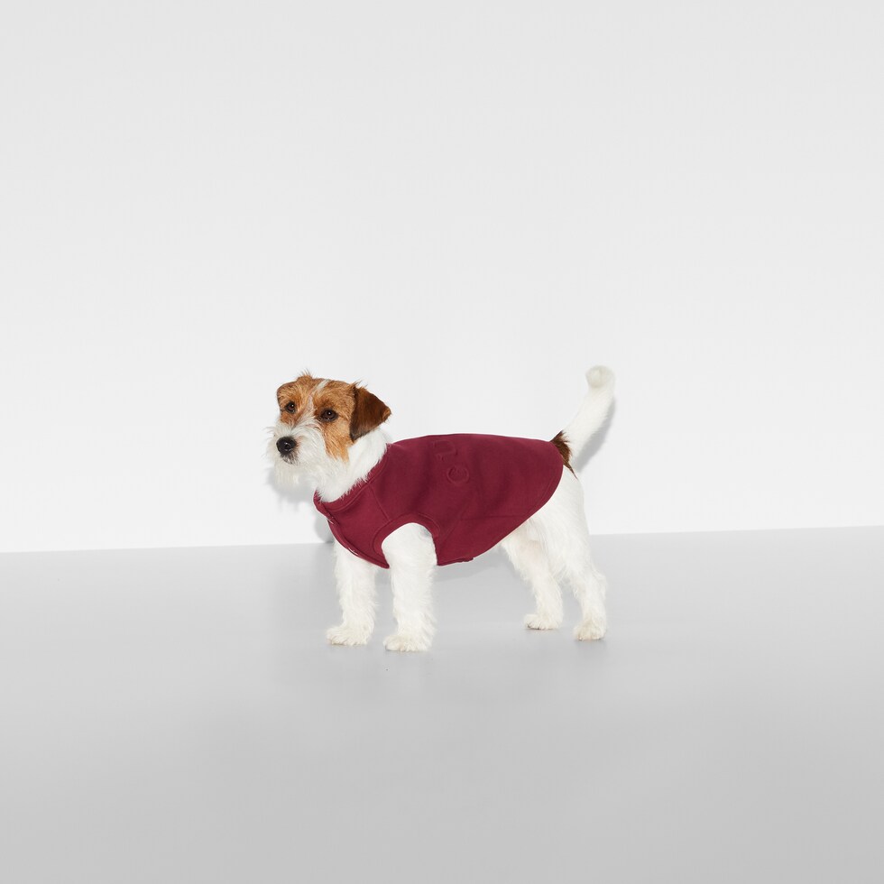Embossed cotton pet sweatshirt