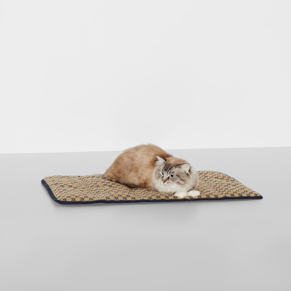 Portable pet bed