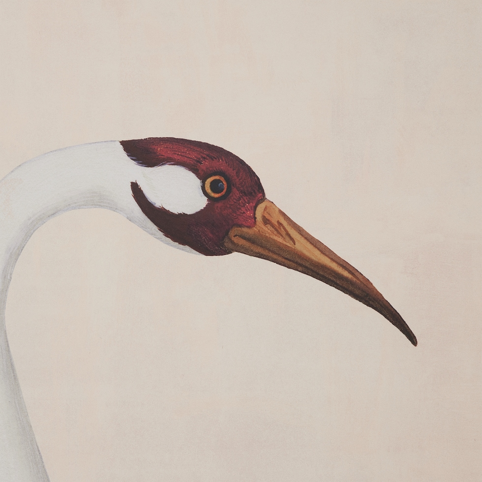 Heron print wallpaper