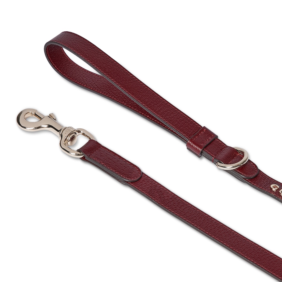 Small/medium leash