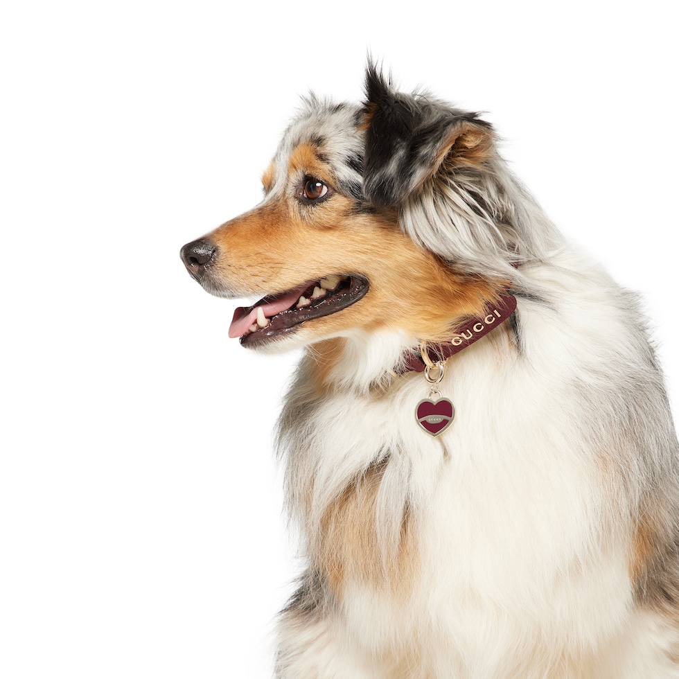 GUCCI グッチ　ドック　犬用　レバー製ボール　超レア 楽天市場】[USED/中古]GUCCI グッチ 食器 ゴブレット ドッグ 犬