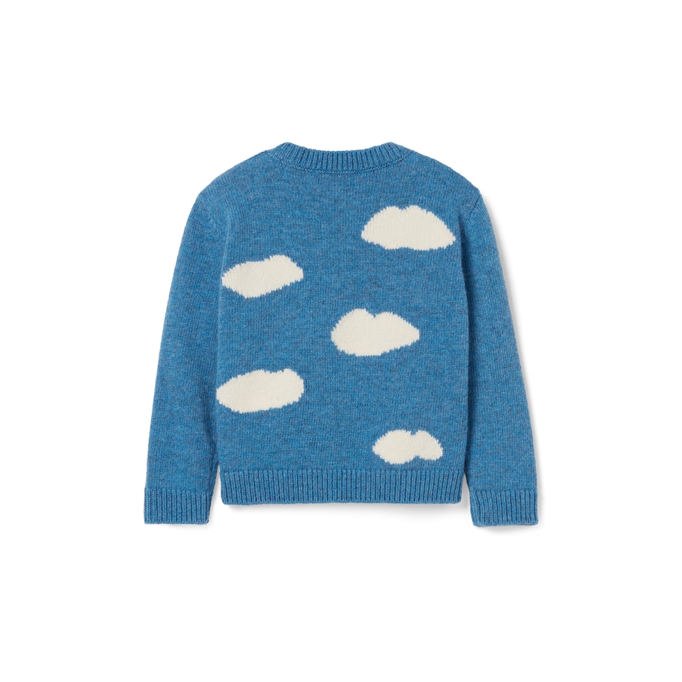 Baby wool sweater with embroidery