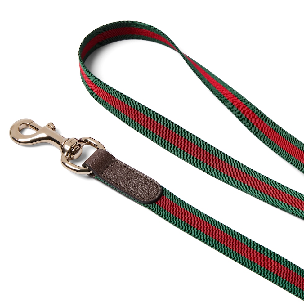 斜挎式宠物拴绳