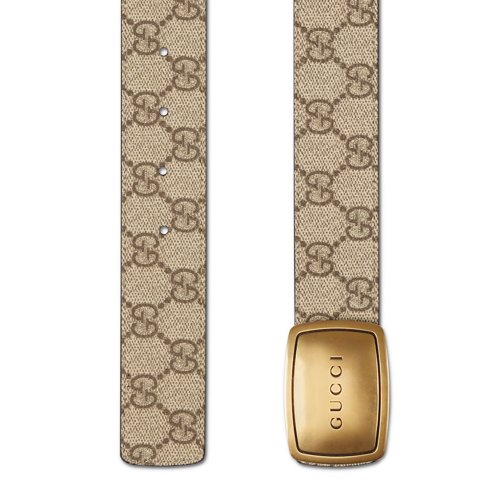 Belt with plaque buckle