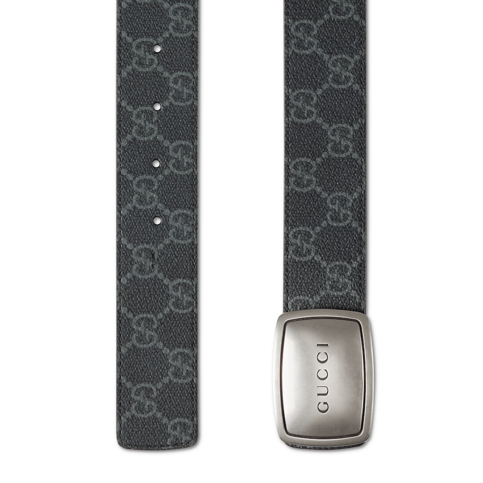 Belt with plaque buckle