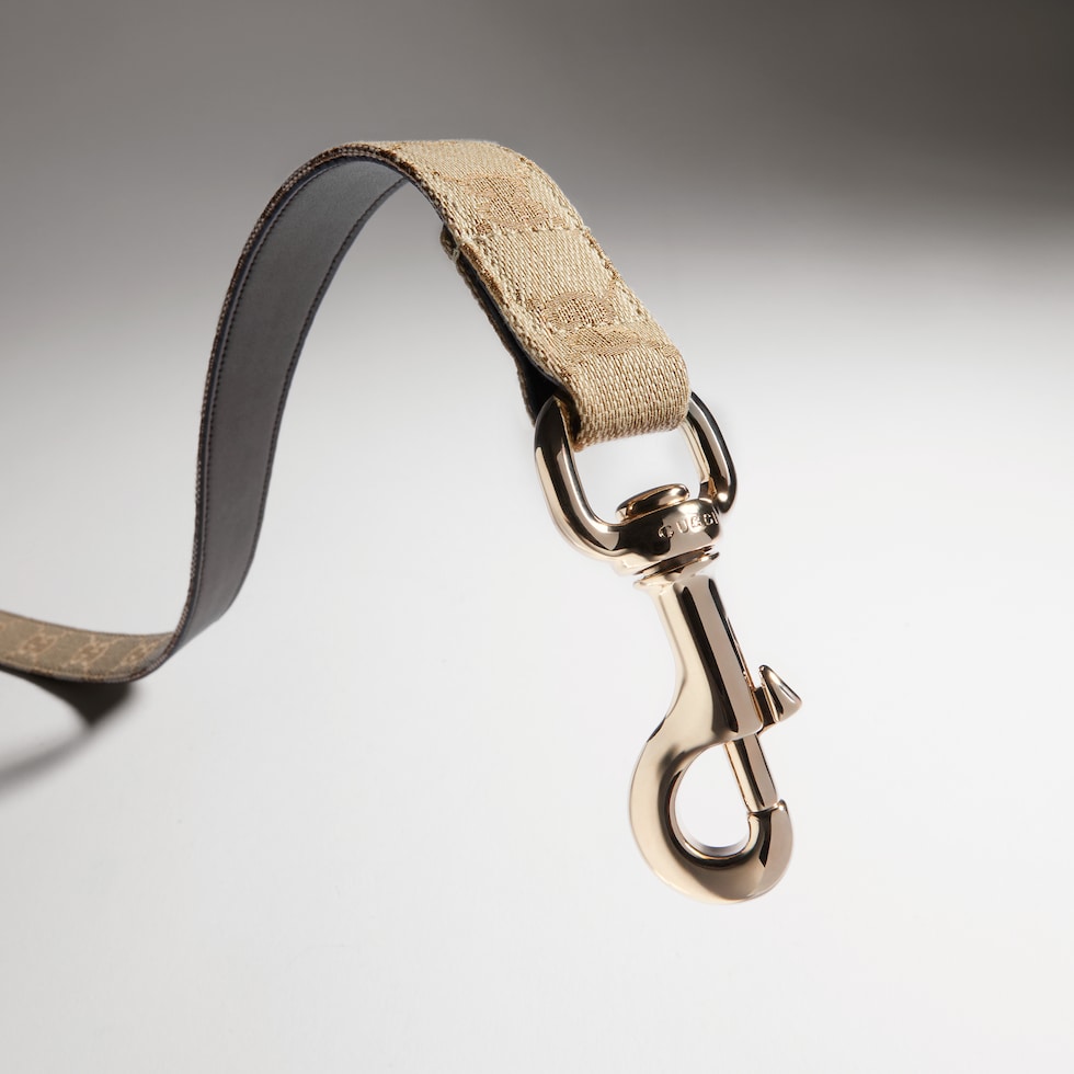Large pet leash