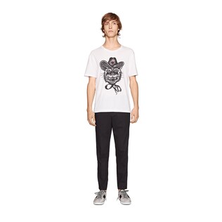 Wrap Box In T Shirt Cat Wrap Box In T Shirt Cat