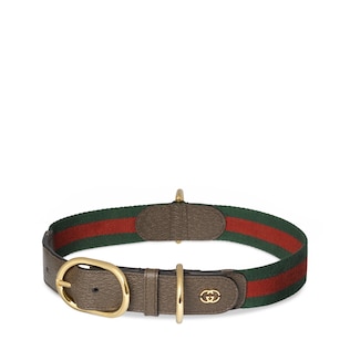 Gucci inspired dog collar hotsell