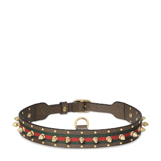 Gucci pet collar best sale