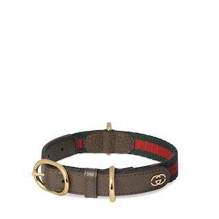 Medagliette e Collari di Lusso per Cani GUCCI IT