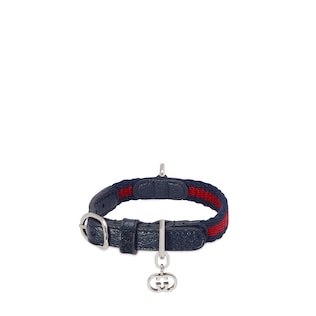 Cat gucci collar new arrivals