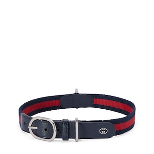 Dog collar luxury brands best sale