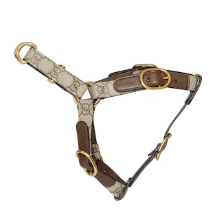 グッチ ペット用品 おすすめ | GUCCI公式